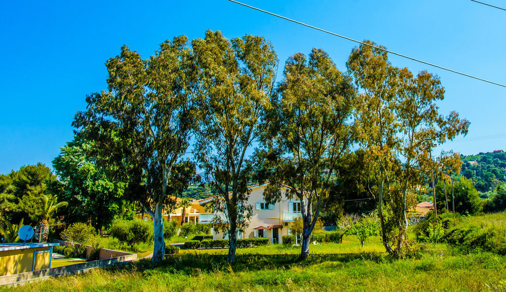 לאסי Aloni Studios & Apartments מראה חיצוני תמונה